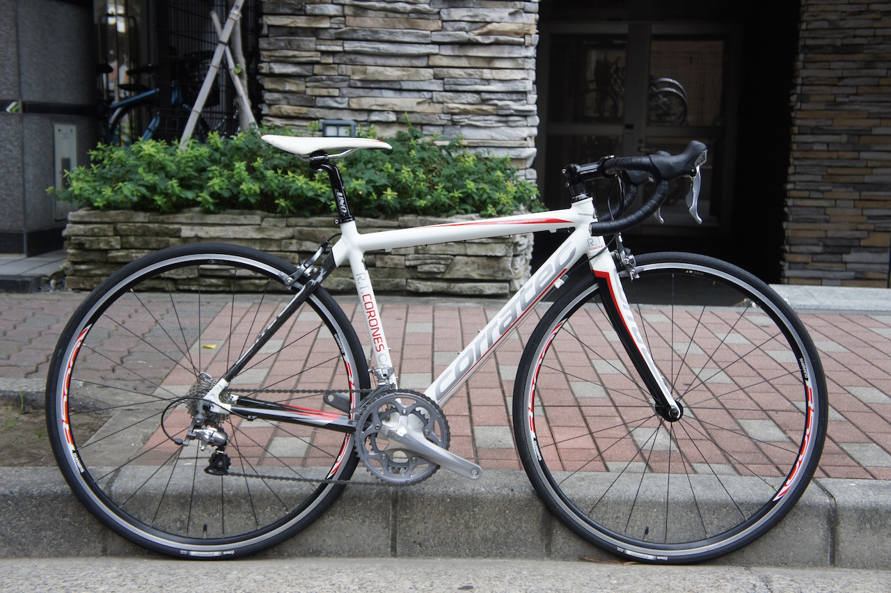 CORRATEC R.T. CORONES コラテック Carbon Backstay