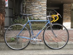 olmo_campagnolo_1